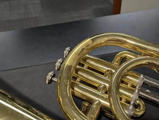 Budget Baritone Horn 2